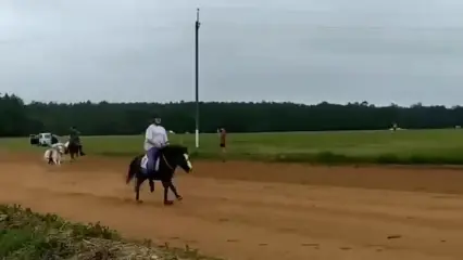 В Татарстане юная наездница упала с пони на Сабантуе