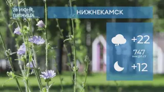 Прогноз погоды в Нижнекамске на 28-е июня 2024 года