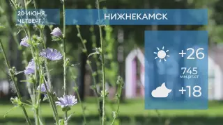 Прогноз погоды в Нижнекамске на 20-е июня 2024 года