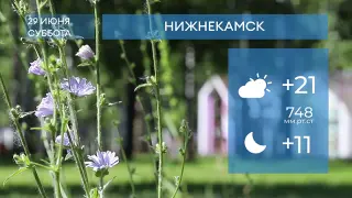 Прогноз погоды в Нижнекамске на 29-е июня 2024 года