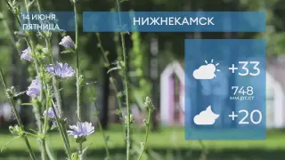 Прогноз погоды в Нижнекамске на 14-е июня 2024 года