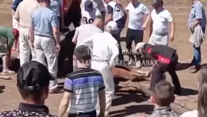 В Татарстане на Сабантуе погибла лошадь - НТР 24