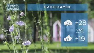 Прогноз погоды в Нижнекамске на 15-е июня 2024 года