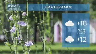 Прогноз погоды в Нижнекамске на 26-е июня 2024 года