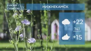 Прогноз погоды в Нижнекамске на 8-е июня 2024 года