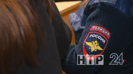 Нижнекамец, ударивший сотрудницу полиции, получил условный срок - НТР 24