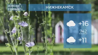 Прогноз погоды в Нижнекамске на 25-е июня 2024 года