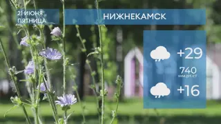 Прогноз погоды в Нижнекамске на 21-е июня 2024 года