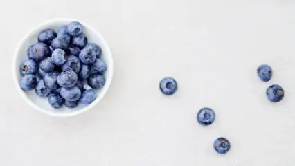 Эксперт КФУ рассказала Татарстанцам, как получить максимум пользы от черники - НТР 24