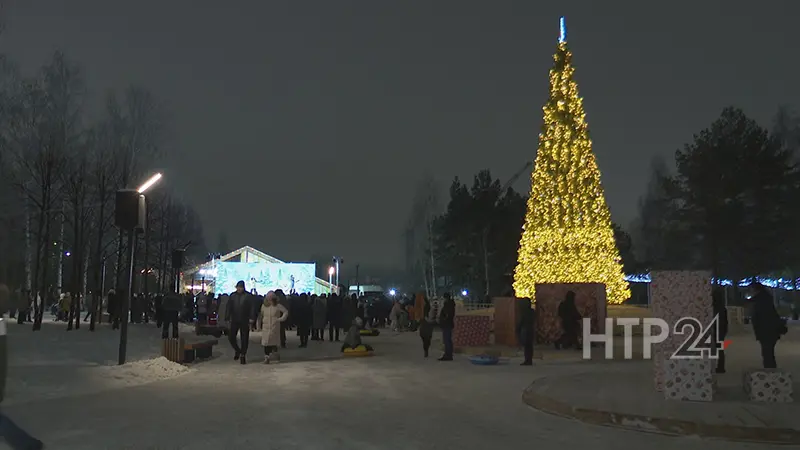 Новогодняя жёлтая елка в парке «Семья» в Нижнекамске