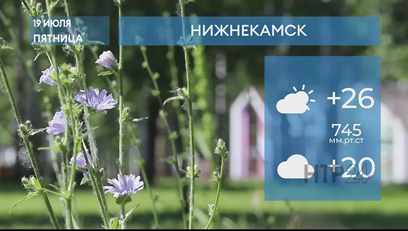 Прогноз погоды в Нижнекамске на 19-е июля 2024 года