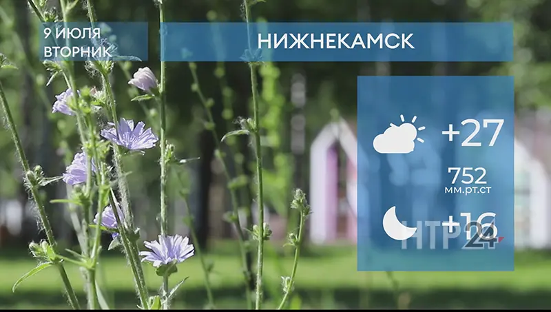 Прогноз погоды в Нижнекамске на 9-е июля 2024 года