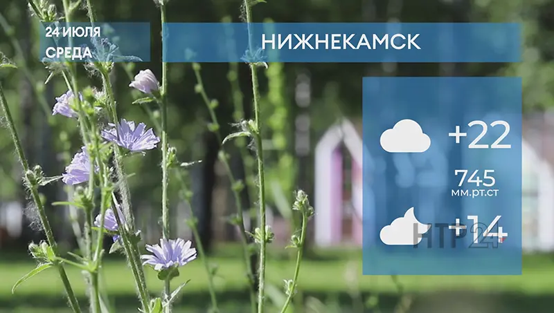 Прогноз погоды в Нижнекамске на 24-е июля 2024 года