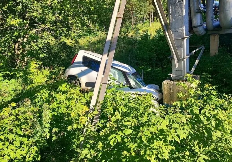 В промзоне Нижнекамска насмерть сбили лося, водитель серьезно пострадал