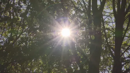 Нижнекамцам рассказали, как оказать медпомощь при солнечном ударе
