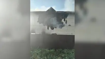 В селе Нижнекамского района едва не сгорели гараж и баня - НТР 24
