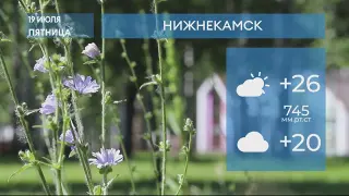 Прогноз погоды в Нижнекамске на 19-е июля 2024 года