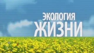 Экология жизни. Эфир 16.10.2014