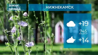 Прогноз погоды в Нижнекамске на 26-е июля 2024 года