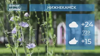 Прогноз погоды в Нижнекамске на 30-е июля 2024 года