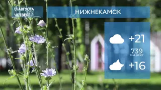 Прогноз погоды в Нижнекамске на 1-е августа 2024 года