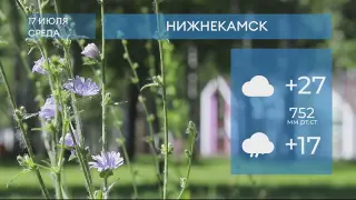 Прогноз погоды в Нижнекамске на 17-е июля 2024 года