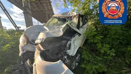 Стали известны подробности ДТП с лосем в промзоне Нижнекамска