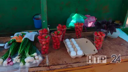 Жителям Нижнекамска рассказали, по каким ценам в городе продают сезонные ягоды