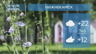 Прогноз погоды в Нижнекамске на 23-е июля 2024 года