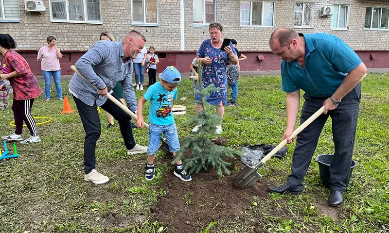 Во дворе Нижнекамска высадили голубую ель в память о бойцах, погибших на СВО