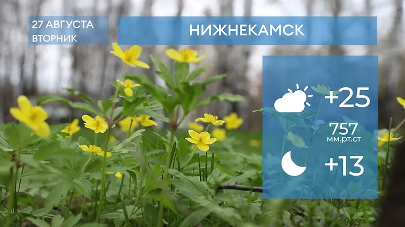 Прогноз погоды в Нижнекамске на 27-е августа 2024 года