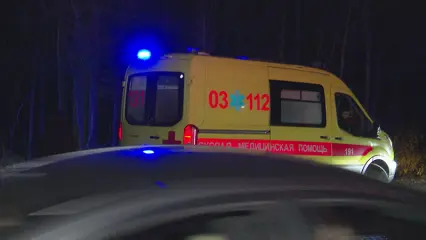 В Нижнекамске из окна 9 этажа выпал пенсионер - НТР 24