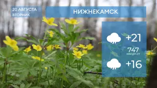 Прогноз погоды в Нижнекамске на 20-е августа 2024 года