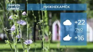 Прогноз погоды в Нижнекамске на 3-е августа 2024 года