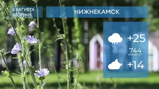 Прогноз погоды в Нижнекамске на 6-е августа 2024 года