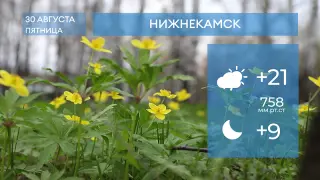 Прогноз погоды в Нижнекамске на 30-е августа 2024 года