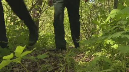 В Нижнекамске волонтёры собираются на очередной поиск пропавшего в конце июля пенсионера