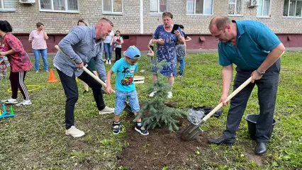 Во дворе Нижнекамска высадили голубую ель в память о бойцах, погибших на СВО