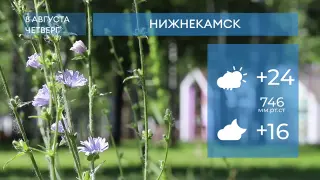 Прогноз погоды в Нижнекамске на 8-е августа 2024 года