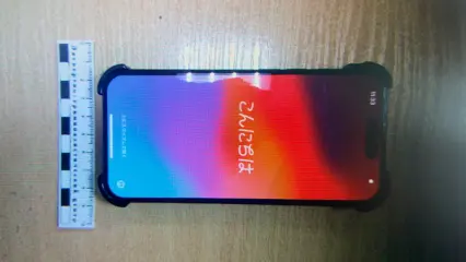 В Казани арестовали студента из Ирана по обвинению в краже телефона у пассажира рейса Москва – Казань - НТР 24