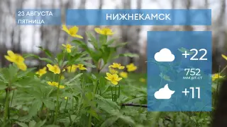 Прогноз погоды в Нижнекамске на 23-е августа 2024 года