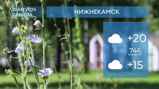 Прогноз погоды в Нижнекамске на 10-е августа 2024 года