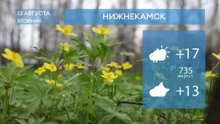 Прогноз погоды в Нижнекамске на 13-е августа 2024 года