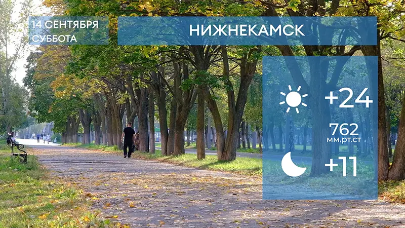 Прогноз погоды в Нижнекамске на 14-е сентября 2024 года