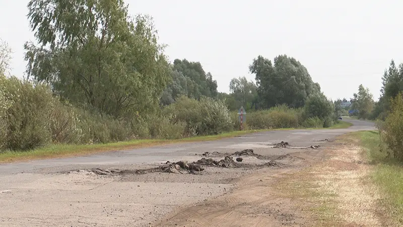 До Гривы по волнам