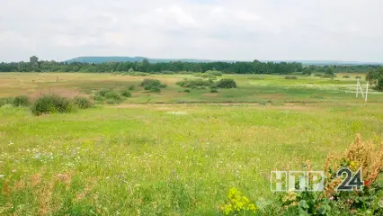 Жителей Татарстана приглашают поучаствовать в конкурсе «Моя страна — моя Россия»