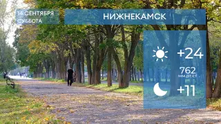 Прогноз погоды в Нижнекамске на 14-е сентября 2024 года