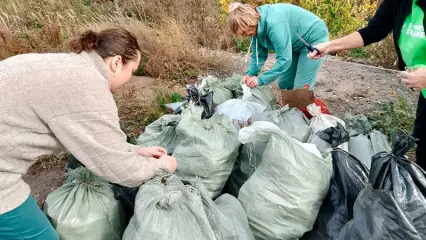 Нижнекамцы собрали на берегу Зая более 30-ти мешков мусора