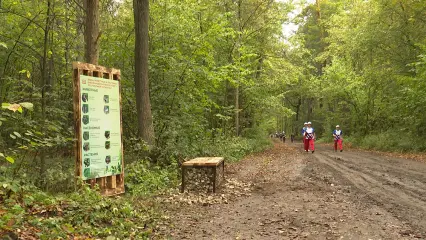 Тропа здоровья в Нижнекамске