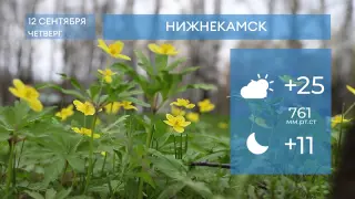 Прогноз погоды в Нижнекамске на 12-е сентября 2024 года